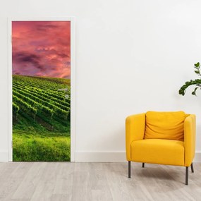Fototapet pentru ușă - Podgorii și cer colorat (95x205cm)