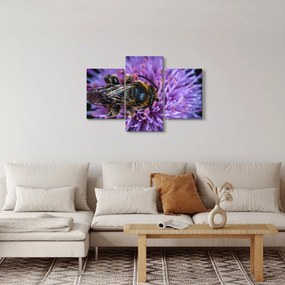 Tablou cu albina pe floare (90x60 cm)