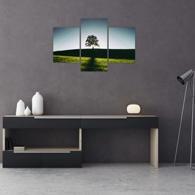 Tablou cu natura - copac (90x60 cm)