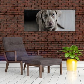 Tablou cu cățeluș (120x50 cm)