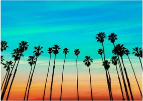 Tablou pe sticlă - California (70x50 cm)