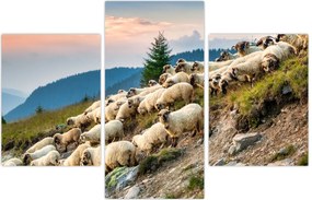 Tablou - O turmă de oi (90x60 cm)