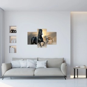 Tablou - Cai (90x60 cm)