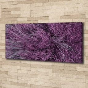 Tablou pe pânză canvas Blană roz