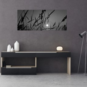 Tablou - Pajiște cu apus de soare (120x50 cm)