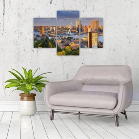 Tablou - Panorama Rotterdamului, Țările de Jos (90x60 cm)