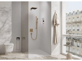 Palarie de dus, Hansgrohe, Pulsify E 260, 1 jet, bronz periat