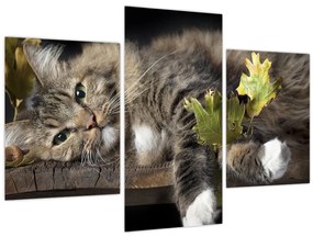 Tablou - Pisica mincinoasă (90x60 cm)