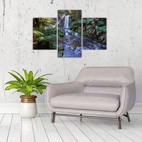 Tablou cu pădurea ploilor din Austalia (90x60 cm)