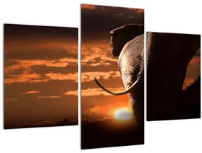 Tablou cu elefant (90x60 cm)