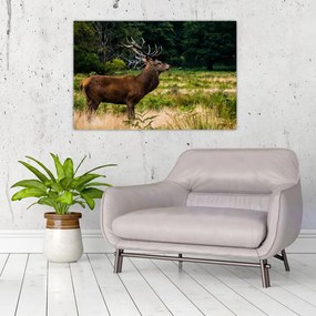 Tablou cu cerb (90x60 cm)