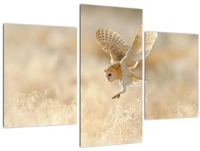 Tablou - Bufnița roșie (90x60 cm)