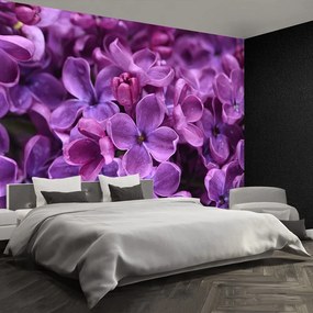 Fototapet Violet Flori
