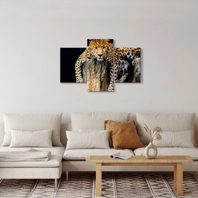 Tablou - Ghepard (90x60 cm)