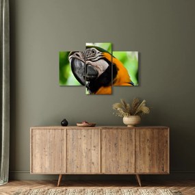 Tablou cu papagal (90x60 cm)