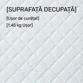 PawHut Set 100 Covoare Absorbante pentru Câini cu 6 Straturi, Covoare Igienice pentru Câini, 45x30 cm, Albastru | Aosom Romania