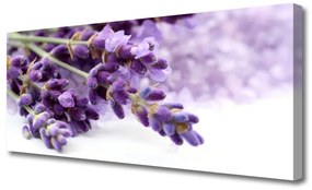 Tablou pe panza canvas Flori Floral violet