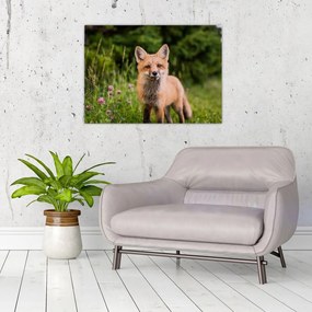 Tablou pe sticlă cu vulpe (70x50 cm)