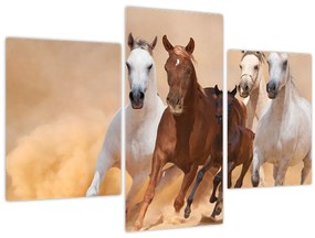 Tablou - Herghelie de cai (90x60 cm)