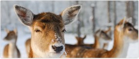 Tablou - Cerbi (120x50 cm)