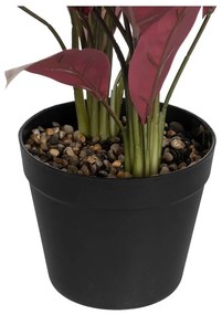 Plantă artificială (înălțime 55 cm) Bird of Paradise – Ixia