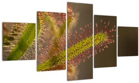 Tablou cu plantă (125x70 cm), în 40 de alte dimensiuni noi