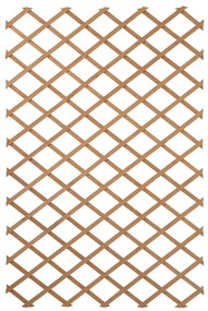 Nature Spalier de gradina, natural, 100 x 200 cm, lemn, 6041703