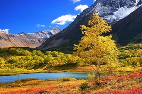 Fototapet autoadeziv natură minunată în Kamchatka