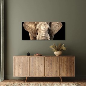 Tablou - Elefant african (120x50 cm)