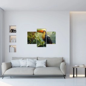 Tablou - Tukan (90x60 cm)