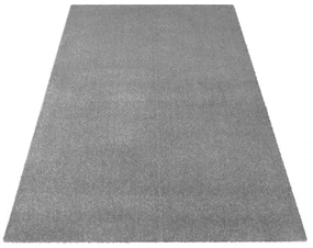Covor gri monocrom Lăţime: 160 cm | Lungime: 220 cm
