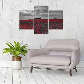 Tablou cu maci (90x60 cm)