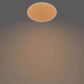 Plafonieră LED dimabilă CLEAR 1xLED/15W/230V 2700K Philips