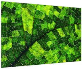 Tablou - Detaliu frunze (90x60 cm)