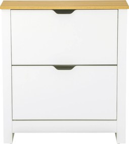 HOMCOM Dulap Hol, Capacitate 12 Perechi Max, dulap pantofi cu 2 Rafturi Reglabile și Detașabile, 72x26x80 cm, Alb | Aosom Romania