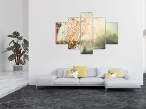 Tablou - Plante după ploaie (150x105 cm)