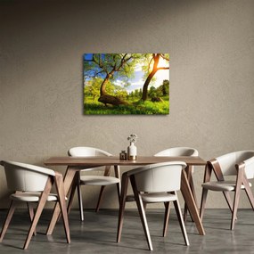 Tablou lunca ne primăvară (70x50 cm)