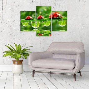 Tablou - Soarele celor șapte sori (90x60 cm)