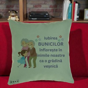 Cadou pentru Bunici - Perna Personalizata Bunicii Iubirea Infloreste Bunici cu Nepoata Colorat, 40x40 cm, Verde, Husa Detasabila, Perna Inclusa, BEKZ®
