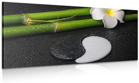 Tablou Spa natura moartă cu simbolul Yin și Yang