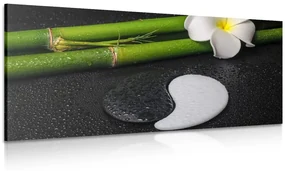 Tablou Spa natura moartă cu simbolul Yin și Yang