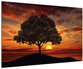 Tablou cu pomi și apus de soare (90x60 cm)