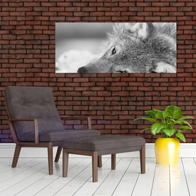 Tablou - Lup,alb-negru (120x50 cm)