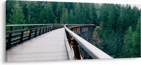 Tablou - Pod spre vârfurile copacilor (120x50 cm)