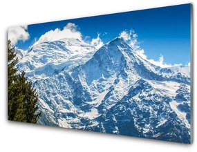 Tablouri acrilice Peisaj de munte copac Albastru Alb Verde