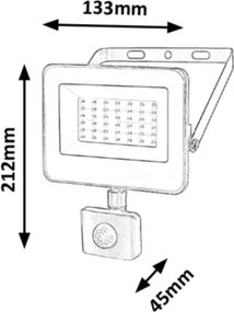 Proiector LED cu senzor Rabalux 7068 FLOOD LED/30W/230V 4000K IP44 negru