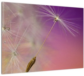 Tablou pe sticlă cu floarea norocul (70x50 cm)