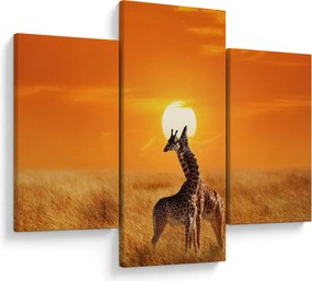 Tablou - Girafe în Parcul Național Serengeti (90x60 cm)
