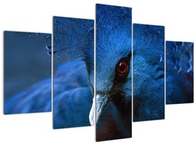 Tablou - Porumbel încoronat (150x105 cm)