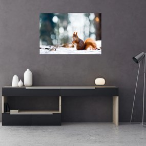 Tablou - Veveriță (90x60 cm)